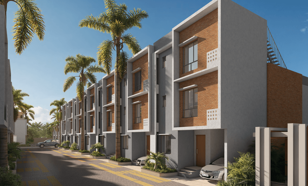 DTC Palm Grove
