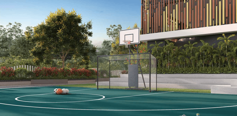 Property Amenities