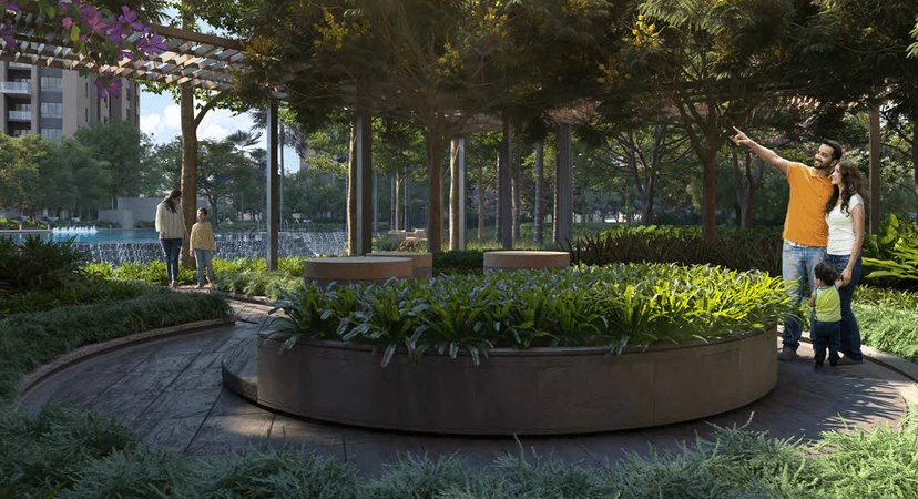 Property Amenities
