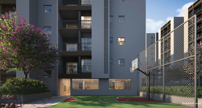 Property Amenities