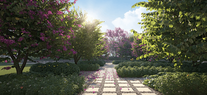 Property Amenities