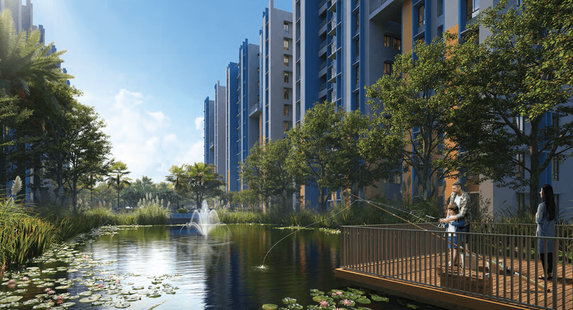 Property Amenities