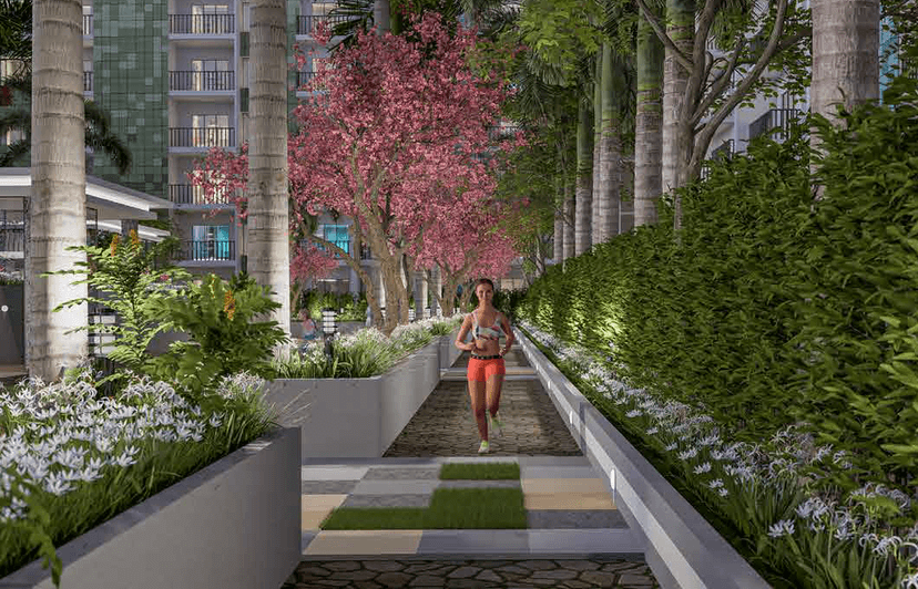 Property Amenities
