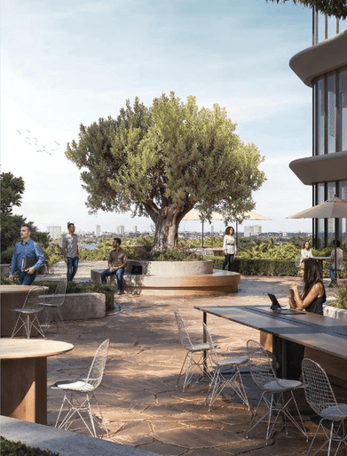 Property Amenities