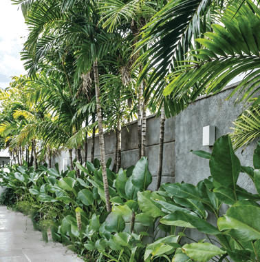 Property Amenities
