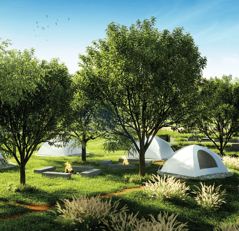 Property Amenities