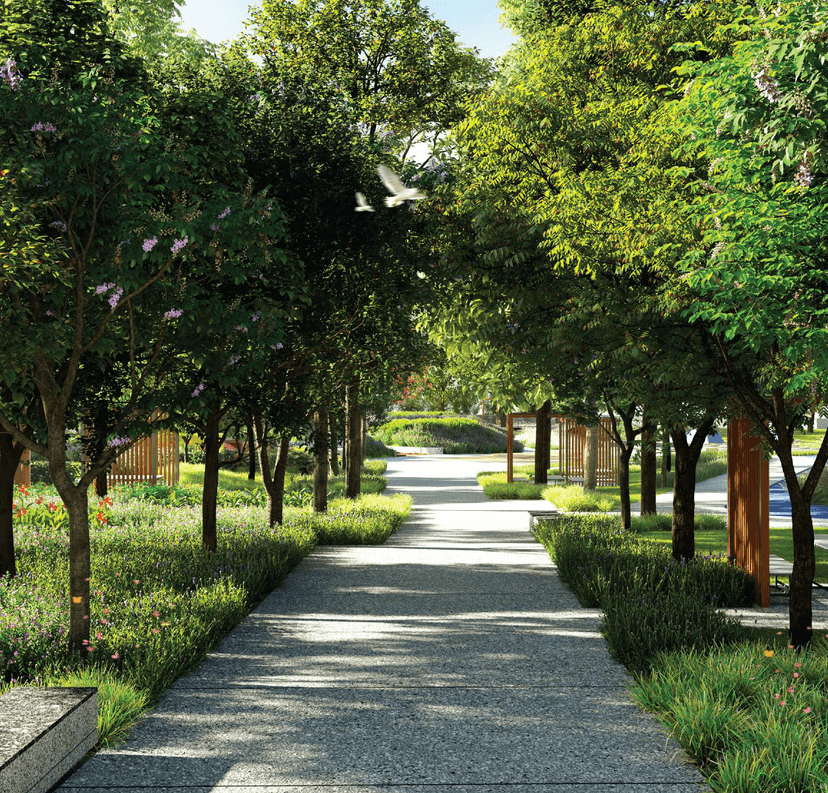 Property Amenities