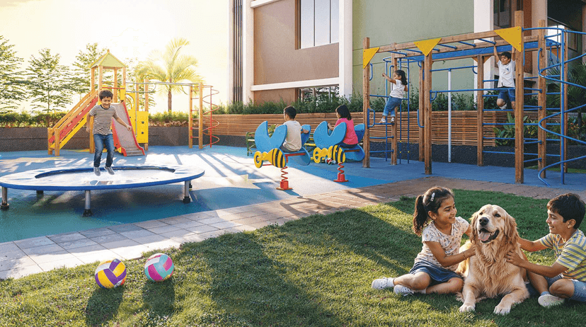 Property Amenities