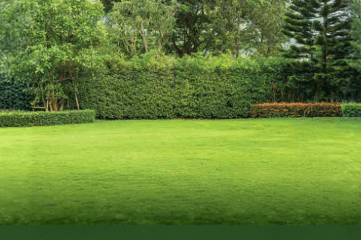 Property Amenities
