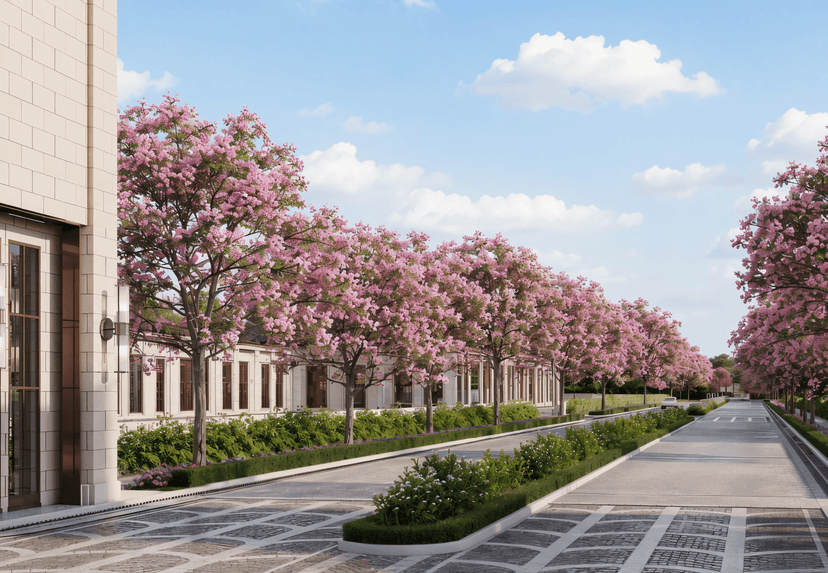 Property Amenities