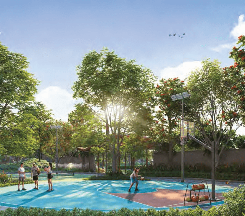 Property Amenities