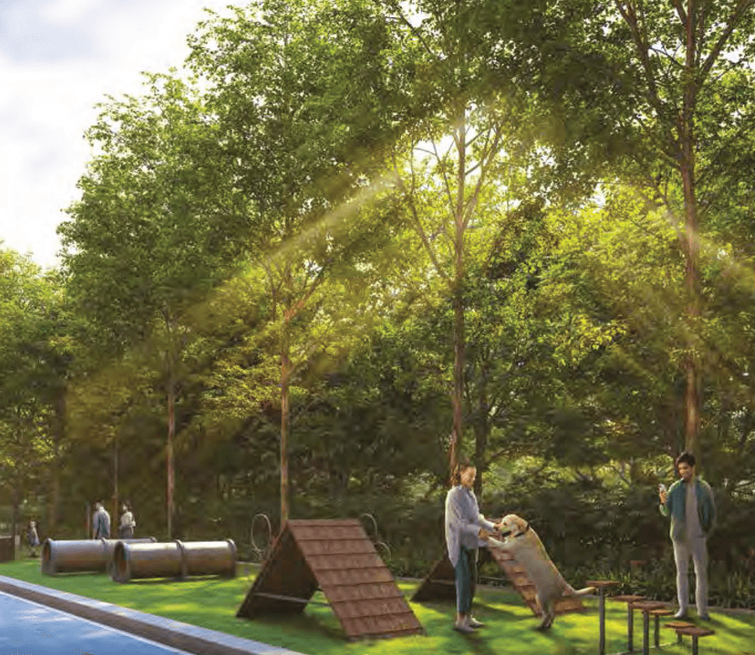 Property Amenities