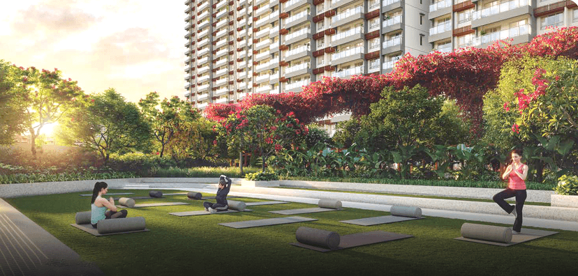 Property Amenities