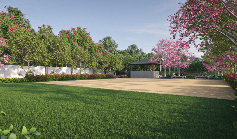 Property Amenities