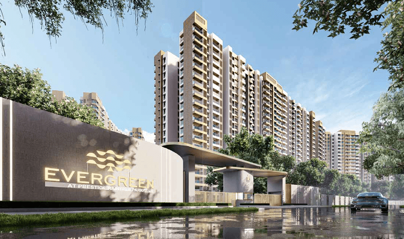 Property Amenities