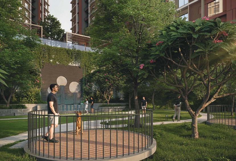 Property Amenities