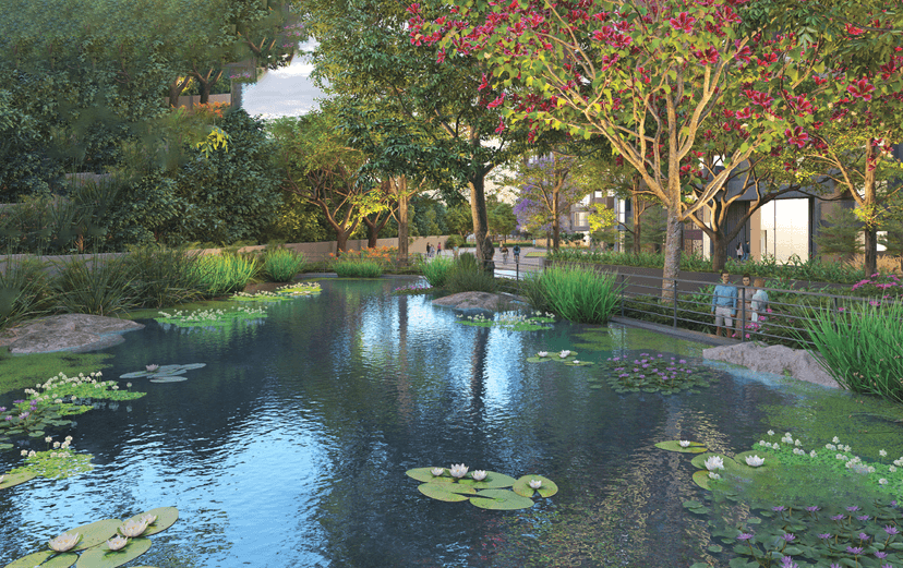 Property Amenities
