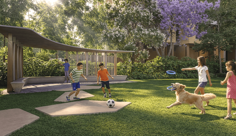 Property Amenities
