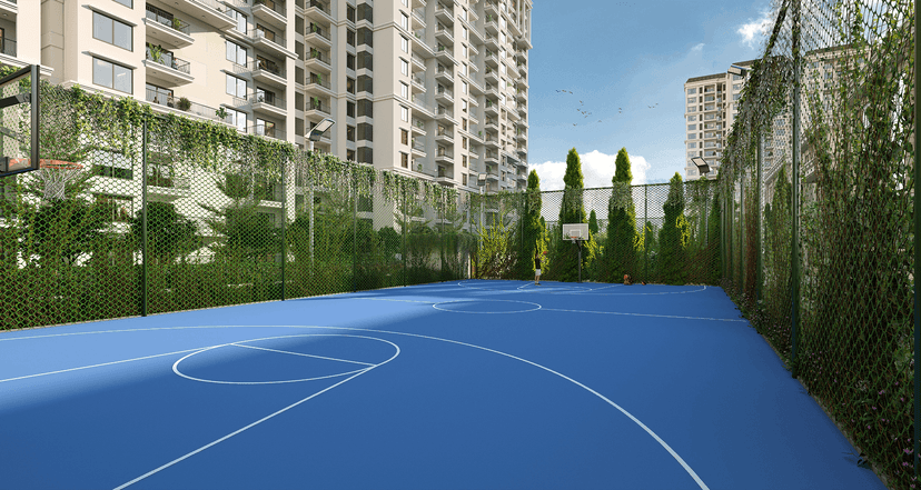 Property Amenities